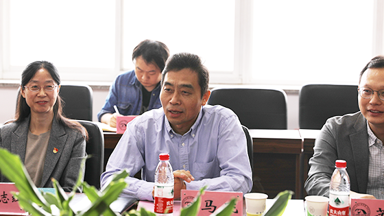 网站马飞.png